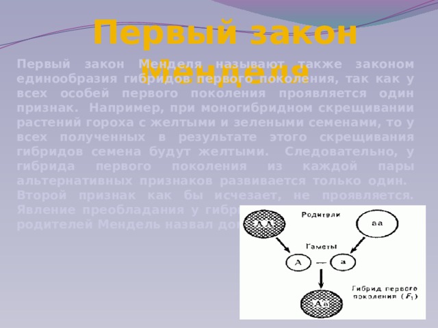 Первый закон Менделя Первый закон Менделя называют также законом единообразия гибридов первого поколения, так как у всех особей первого поколения проявляется один признак. Например, при моногибридном скрещивании растений гороха с желтыми и зелеными семенами, то у всех полученных в результате этого скрещивания гибридов семена будут желтыми. Следовательно, у гибрида первого поколения из каждой пары альтернативных признаков развивается только один. Второй признак как бы исчезает, не проявляется. Явление преобладания у гибрида признака одного из родителей Мендель назвал доминированием. 