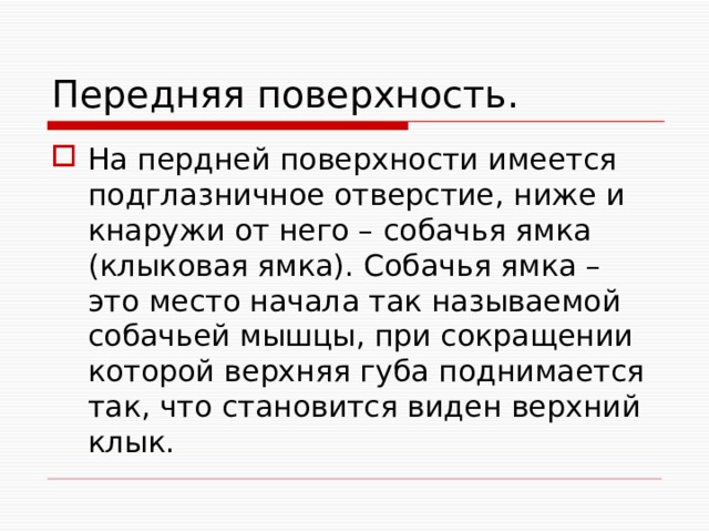 Передняя поверхность. На пердней поверхности имеется подглазничное отверстие, ниже и кнаружи от него – собачья ямка (клыковая ямка). Собачья ямка – это место начала так называемой собачьей мышцы, при сокращении которой верхняя губа поднимается так, что становится виден верхний клык. 