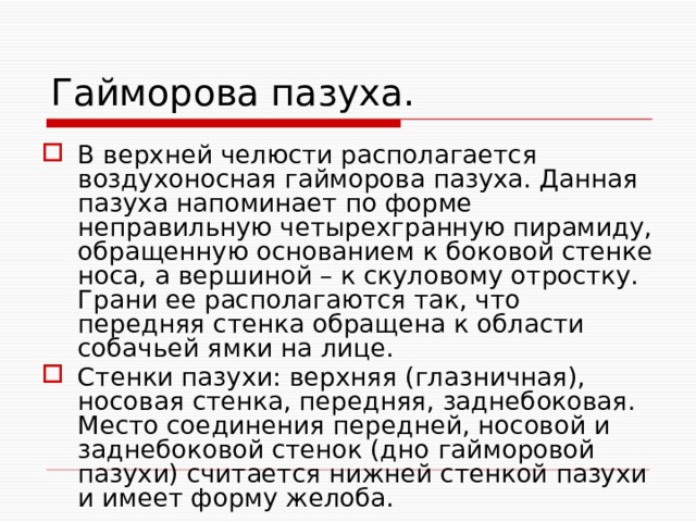 Гайморова пазуха. В верхней челюсти располагается воздухоносная гайморова пазуха. Данная пазуха напоминает по форме неправильную четырехгранную пирамиду, обращенную основанием к боковой стенке носа, а вершиной – к скуловому отростку. Грани ее располагаются так, что передняя стенка обращена к области собачьей ямки на лице. Стенки пазухи: верхняя (глазничная), носовая стенка, передняя, заднебоковая. Место соединения передней, носовой и заднебоковой стенок (дно гайморовой пазухи) считается нижней стенкой пазухи и имеет форму желоба. 