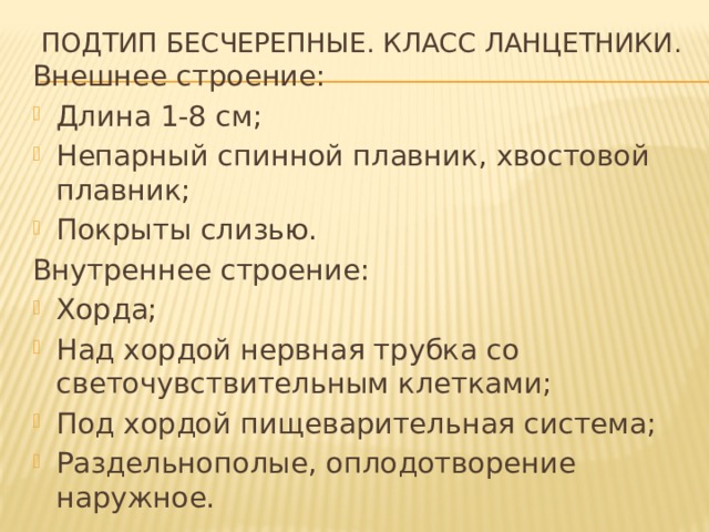 Подтип Бесчерепные. Класс ланцетники. Внешнее строение: Длина 1-8 см; Непарный спинной плавник, хвостовой плавник; Покрыты слизью. Внутреннее строение: Хорда; Над хордой нервная трубка со светочувствительным клетками; Под хордой пищеварительная система; Раздельнополые, оплодотворение наружное. 