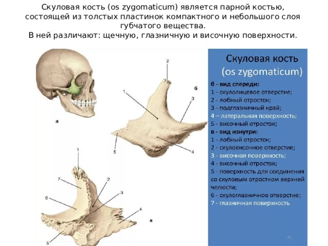 Перелом скуловой кости фото