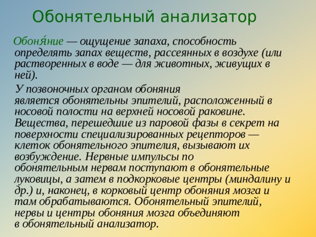 Обонятельный анализатор. Функции обонятельного анализатора. Значение обонятельного анализатора. Значение обонятел ного анализатора. Функции обонятельного анализатора кратко.