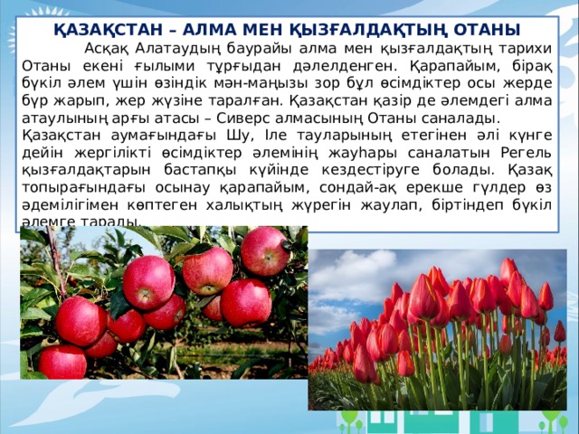 ҚАЗАҚСТАН – АЛМА МЕН ҚЫЗҒАЛДАҚТЫҢ ОТАНЫ  Асқақ Алатаудың баурайы алма мен қызғалдақтың тарихи Отаны екені ғылыми тұрғыдан дәлелденген. Қарапайым, бірақ бүкіл әлем үшін өзіндік мән-маңызы зор бұл өсімдіктер осы жерде бүр жарып, жер жүзіне таралған. Қазақстан қазір де әлемдегі алма атаулының арғы атасы – Сиверс алмасының Отаны саналады. Қазақстан аумағындағы Шу, Іле тауларының етегінен әлі күнге дейін жергілікті өсімдіктер әлемінің жауһары саналатын Регель қызғалдақтарын бастапқы күйінде кездестіруге болады. Қазақ топырағындағы осынау қарапайым, сондай-ақ ерекше гүлдер өз әдемілігімен көптеген халықтың жүрегін жаулап, біртіндеп бүкіл әлемге тарады. 