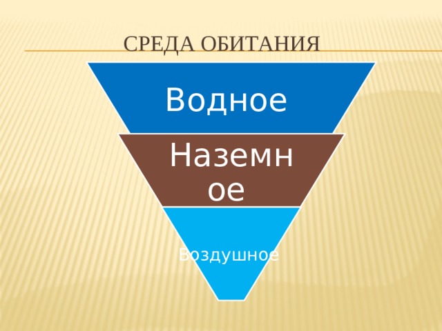 Среда обитания Водное Наземное Воздушное 