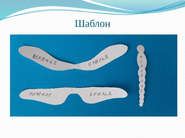Шаблон 
