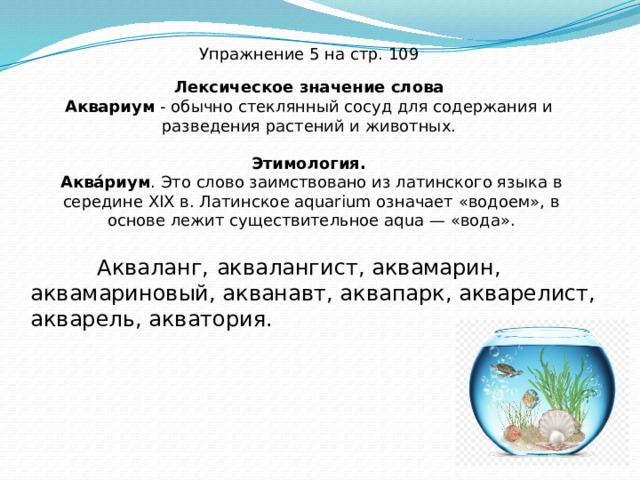 Океанариум текст автостопом. Значение слова аквариум. Аквариум этимология. Происхождение слова аквариум. Лексическое значение слова аквариум.