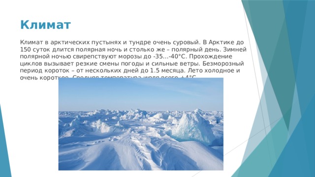 Климат Климат в арктических пустынях и тундре очень суровый. В Арктике до 150 суток длится полярная ночь и столько же – полярный день. Зимней полярной ночью свирепствуют морозы до -35…-40°C. Прохождение циклов вызывает резкие смены погоды и сильные ветры. Безморозный период короток – от нескольких дней до 1.5 месяца. Лето холодное и очень короткое. Средняя температура июля всего +4°C. 