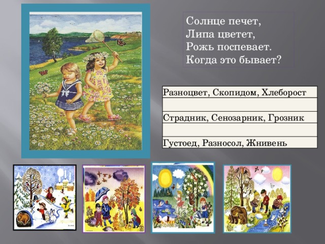 Солнце печет,  Липа цветет,  Рожь поспевает.  Когда это бывает? Разноцвет, Скопидом, Хлеборост Страдник, Сенозарник, Грозник Густоед, Разносол, Жнивень 