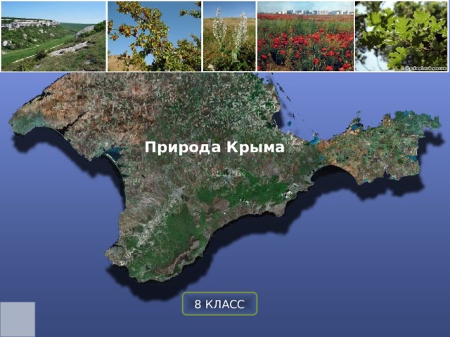 Природа Крыма 8 КЛАСС 