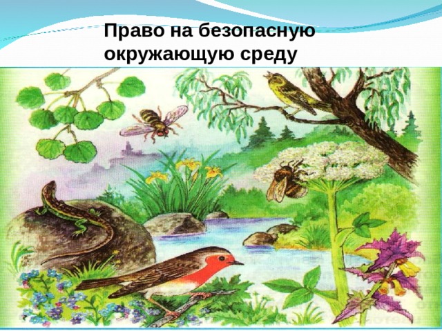 Право на безопасную окружающую среду 