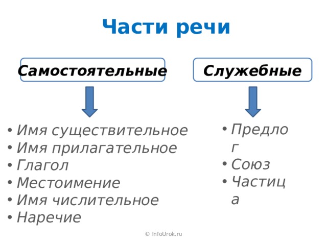 Морфология морфологический признак