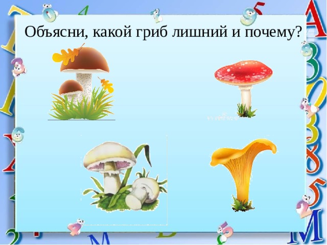 Грибы растения животные что лишнее. Четвертый лишний грибы. Игра четвертый лишний грибы. Найди лишний гриб. Четвертый лишний грибы ягоды.