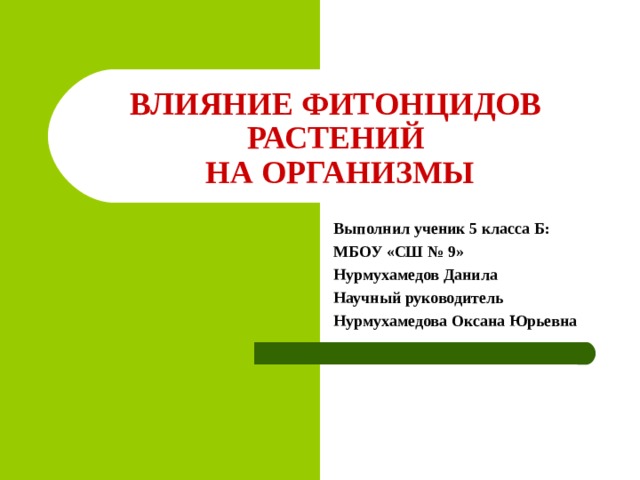 Исследовательская работа "Фитонцидные свойства комнатных растений"