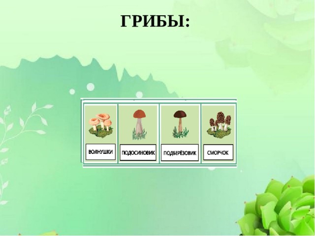 ГРИБЫ: 