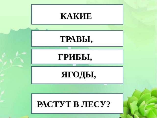 КАКИЕ ТРАВЫ, ГРИБЫ, ЯГОДЫ, РАСТУТ В ЛЕСУ? 