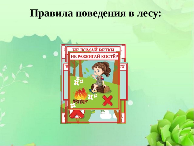 Правила поведения в лесу: 