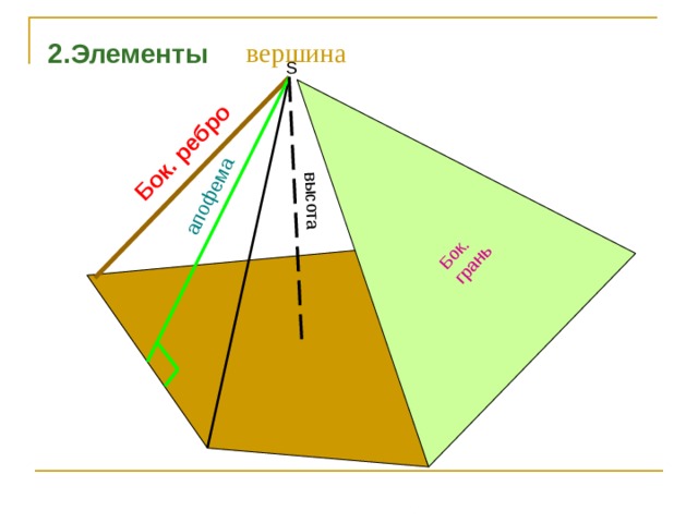 высота апофема Бок. грань Бок. ребро вершина 2.Элементы S 