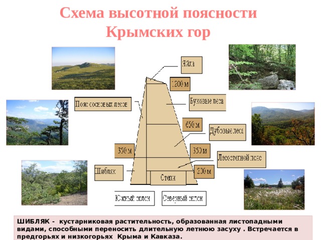 Схема высотной поясности кавказа