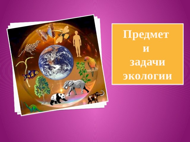 Предмет  и  задачи экологии 