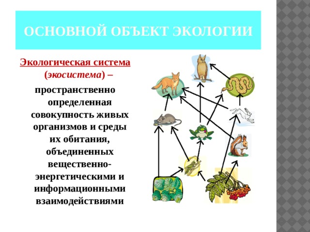 Экосистемой называют совокупность всех живых. Совокупность живых организмов и среды их обитания - это.