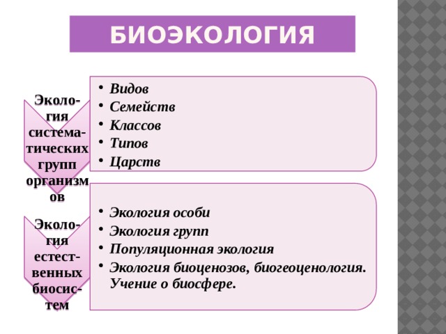 Эколо-гия система-тических групп организмов Видов Семейств Классов Типов Царств Видов Семейств Классов Типов Царств Эколо-гия естест-венных биосис-тем Экология особи Экология групп Популяционная экология Экология биоценозов, биогеоценология. Учение о биосфере. Экология особи Экология групп Популяционная экология Экология биоценозов, биогеоценология. Учение о биосфере. Биоэкология 