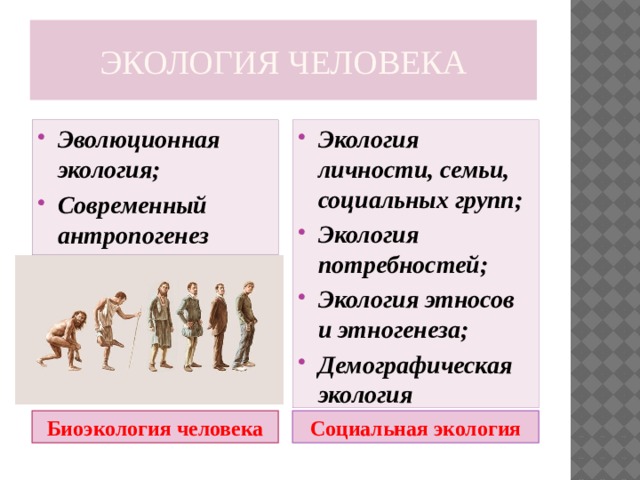 Виды эволюции окружающей среды. Экологические потребности человека. Эволюционная экология. Биоэкология человека и социальная экология. Виды эволюции экологии.