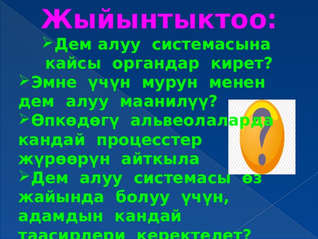 Жыйынтыктоо: Дем алуу системасына кайсы органдар кирет? Эмне үчүн мурун менен дем алуу маанилүү? Өпкөдөгү альвеолаларда кандай процесстер жүрөөрүн айткыла Дем алуу системасы өз жайында болуу үчүн, адамдын кандай таасирлери керектелет? 