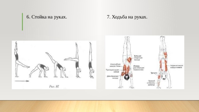 6. Стойка на руках. 7. Ходьба на руках. 
