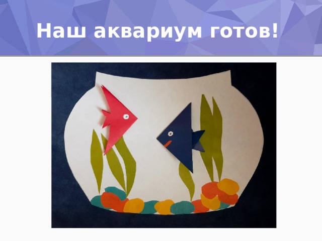 Наш аквариум готов! 