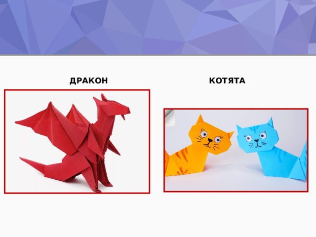 ДРАКОН КОТЯТА 