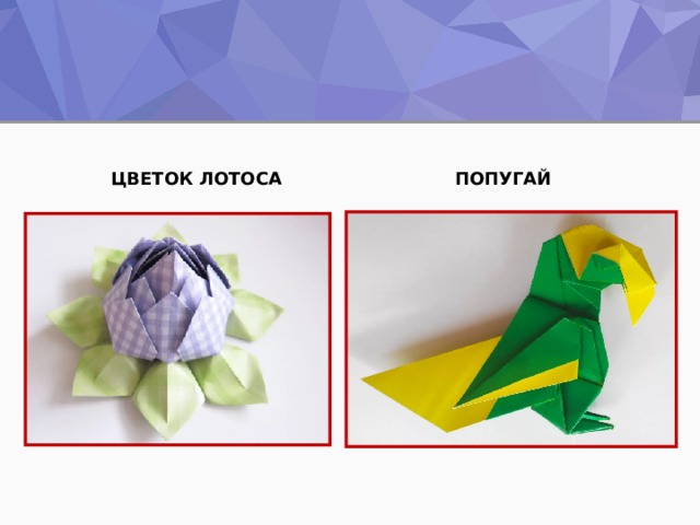 ЦВЕТОК ЛОТОСА ПОПУГАЙ 
