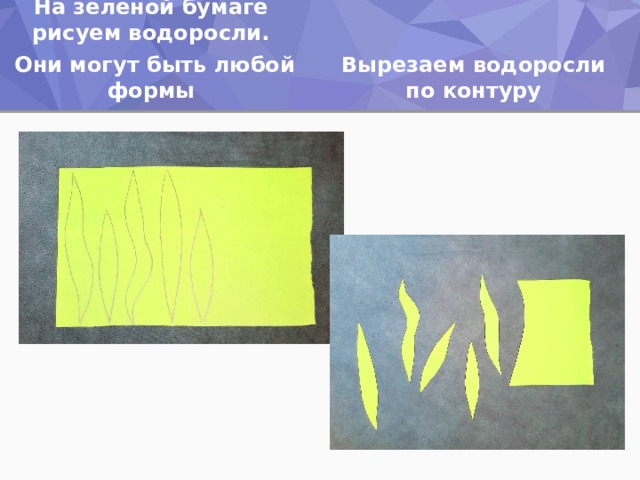 Вырезаем водоросли по контуру На зеленой бумаге рисуем водоросли.  Они могут быть любой формы 