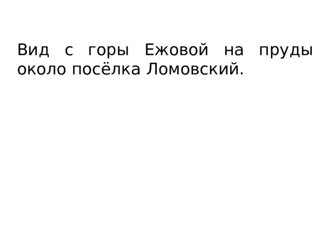 Вид с горы Ежовой на пруды около посёлка Ломовский. 