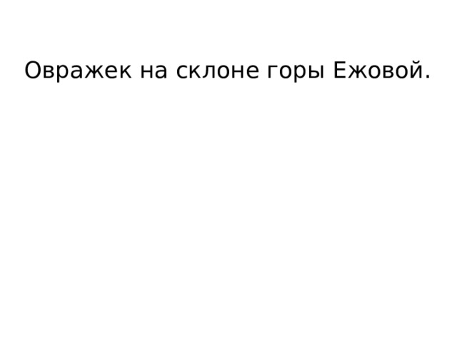 Овражек на склоне горы Ежовой. 