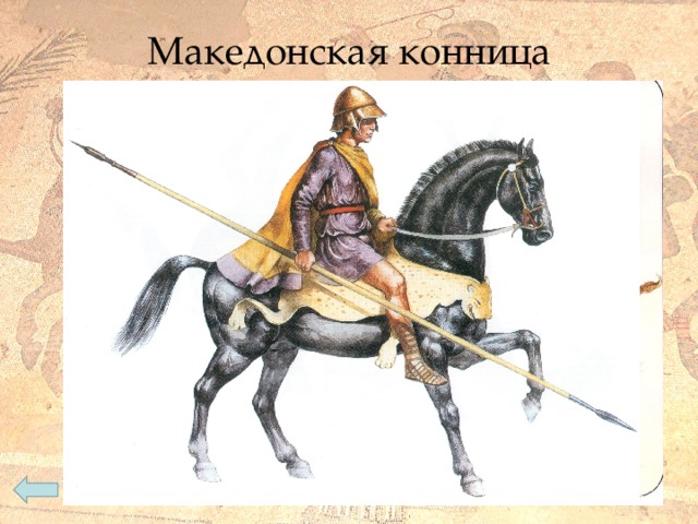 Македонская конница 