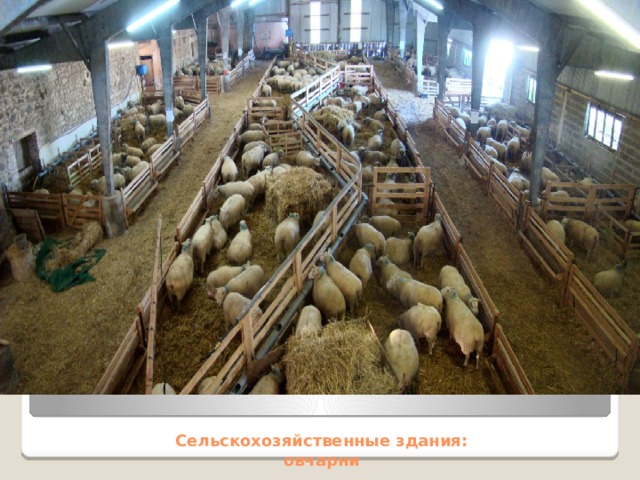 Сельскохозяйственные здания:  овчарни 
