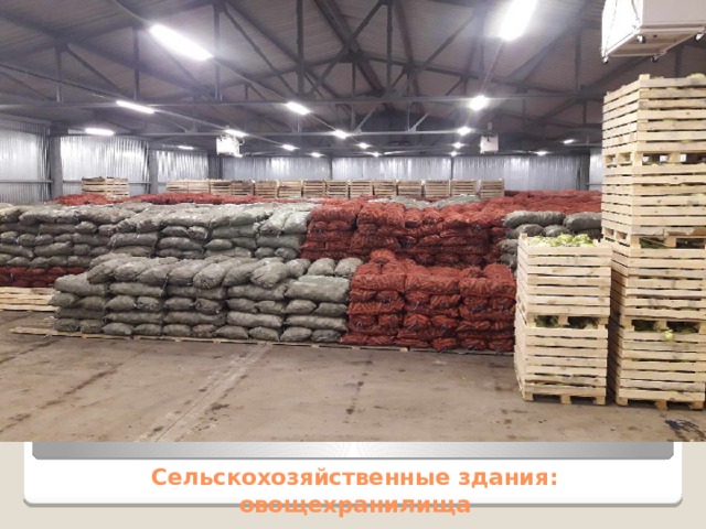 Сельскохозяйственные здания:  овощехранилища 