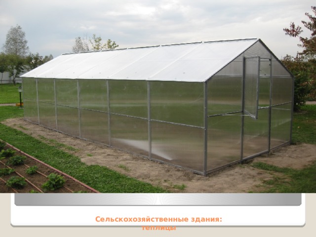 Сельскохозяйственные здания:  теплицы 