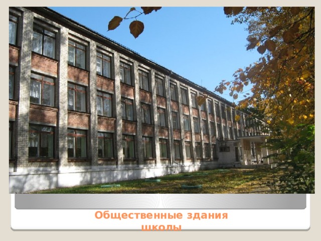 Общественные здания  школы 