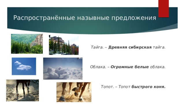 Распространённые назывные предложения Тайга. –  Древняя сибирская  тайга.   Облака. –  Огромные белые  облака.    Топот. – Топот  быстрого коня. 