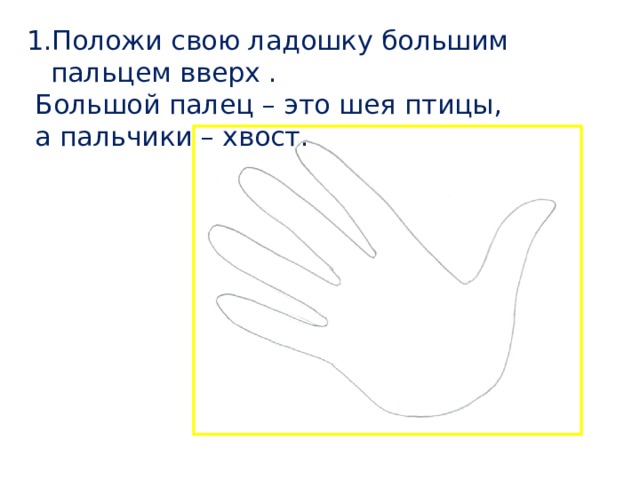 Положи свою ладошку большим пальцем вверх .  Большой палец – это шея птицы,  а пальчики – хвост. 