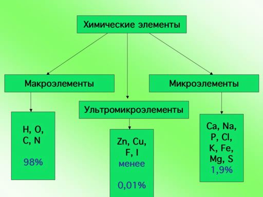 Химические элементы в организме человека таблица