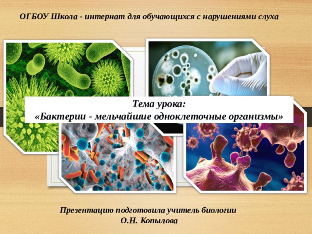 Презентация бактерии 7 класс биология. Бактерии 7 класс биология. Роль бактерий в природе. Молочных бактериях из уроков биологии. Урок технологии 7 класс о микроорганизмах.