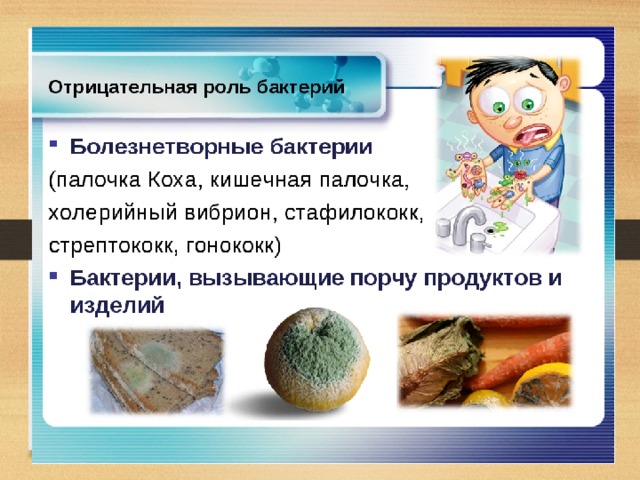 Роль человека в природе 5 класс. Роль бактерий в жизни человека. Отрицательная роль бактерий. Отрицательная роль бактерииъ. Роль микроорганизмов в жизни человека.