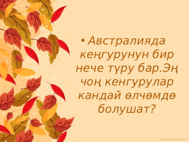 Австралияда кеңгурунун бир нече түру бар.Эң чоң кенгурулар кандай өлчөмдө болушат? 