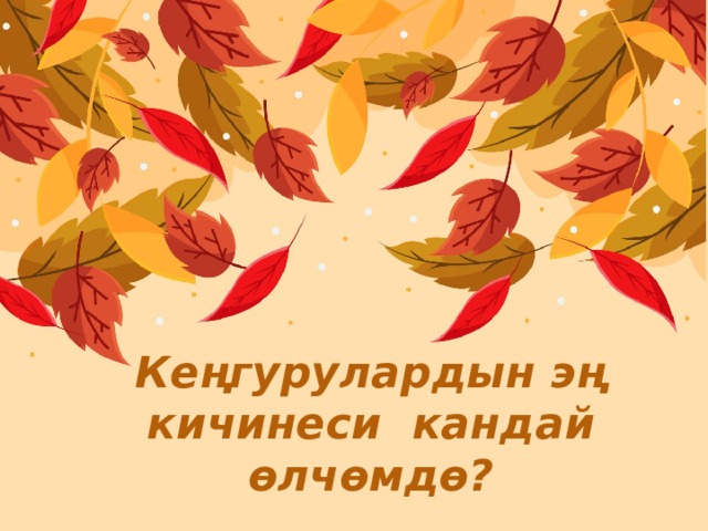 Кеңгурулардын эң кичинеси кандай өлчөмдө? 