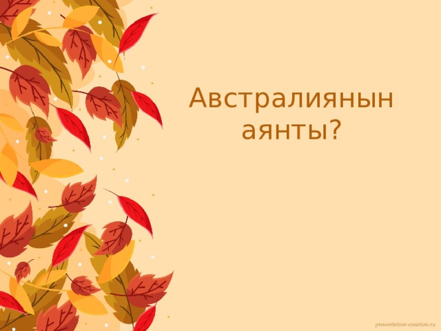 Австралиянын аянты? 