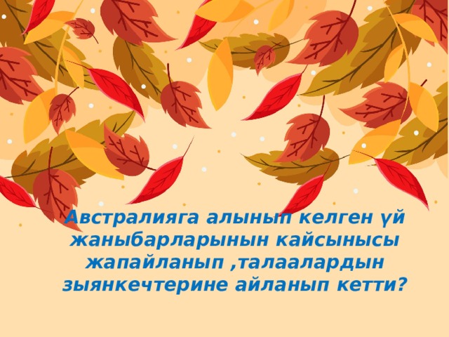 Австралияга алынып келген үй жаныбарларынын кайсынысы жапайланып ,талаалардын зыянкечтерине айланып кетти? 