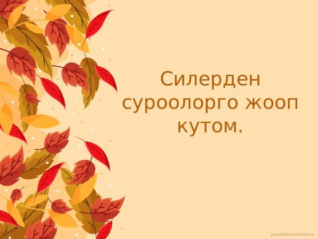 Силерден суроолорго жооп кутом. 