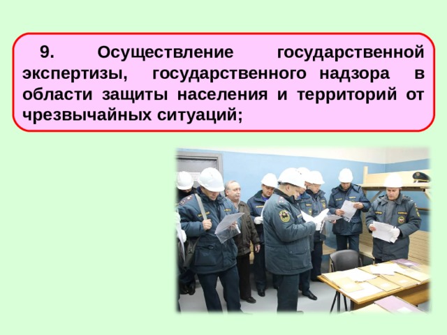 Государственное осуществление. Надзора и контроля в области защиты населения и территорий от ЧС;. Осуществления государственной экспертизы. Надзор и контроль в области защиты от ЧС. Осуществление государственной экс.